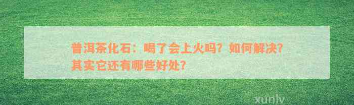 普洱茶化石：喝了会上火吗？如何解决？其实它还有哪些好处？