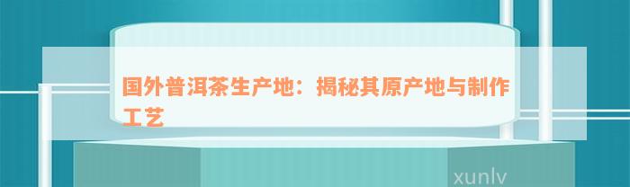 国外普洱茶生产地：揭秘其原产地与制作工艺