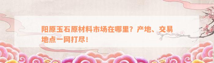 阳原玉石原材料市场在哪里？产地、交易地点一网打尽！