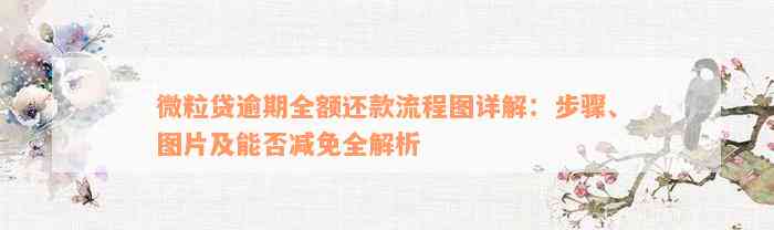 微粒贷逾期全额还款流程图详解：步骤、图片及能否减免全解析