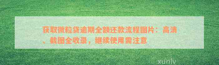 获取微粒贷逾期全额还款流程图片：高清、截图全收录，继续使用需注意