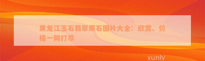 黑龙江玉石翡翠原石图片大全：欣赏、价格一网打尽