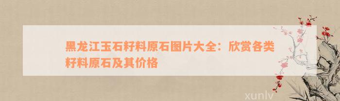 黑龙江玉石籽料原石图片大全：欣赏各类籽料原石及其价格