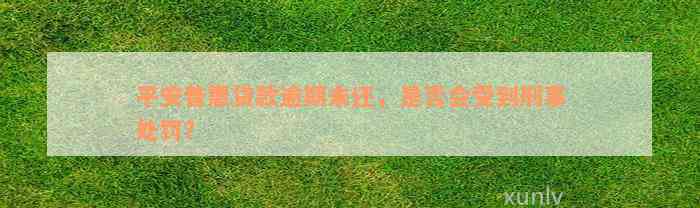 平安普惠贷款逾期未还，是否会受到刑事处罚？