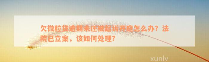 欠微粒贷逾期未还被起诉开庭怎么办？法院已立案，该如何处理？