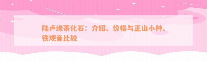 陆卢缘茶化石：介绍、价格与正山小种、铁观音比较