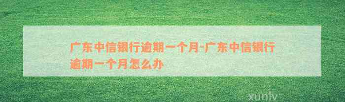 广东中信银行逾期一个月-广东中信银行逾期一个月怎么办