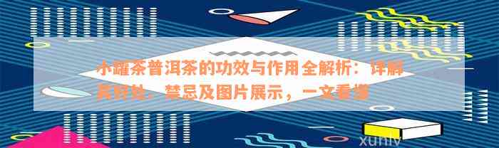 小罐茶普洱茶的功效与作用全解析：详解其好处、禁忌及图片展示，一文看懂