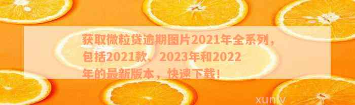 获取微粒贷逾期图片2021年全系列，包括2021款、2023年和2022年的最新版本，快速下载！