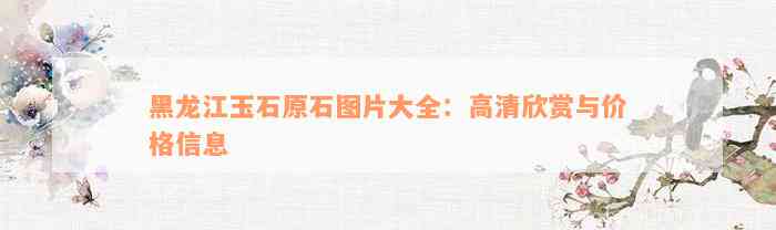 黑龙江玉石原石图片大全：高清欣赏与价格信息