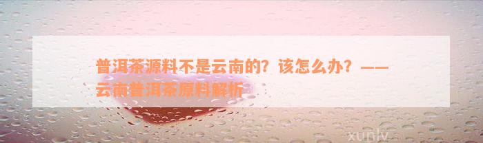 普洱茶源料不是云南的？该怎么办？——云南普洱茶原料解析