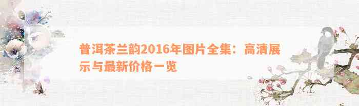 普洱茶兰韵2016年图片全集：高清展示与最新价格一览