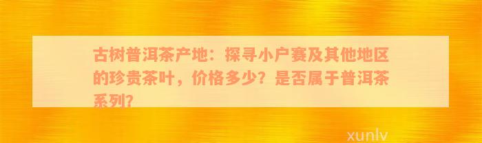 古树普洱茶产地：探寻小户赛及其他地区的珍贵茶叶，价格多少？是否属于普洱茶系列？