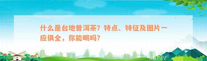 什么是台地普洱茶？特点、特征及图片一应俱全，你能喝吗？