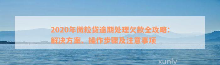 2020年微粒贷逾期处理欠款全攻略：解决方案、操作步骤及注意事项