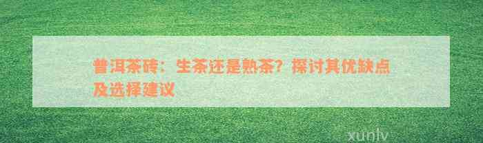 普洱茶砖：生茶还是熟茶？探讨其优缺点及选择建议