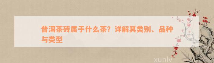 普洱茶砖属于什么茶？详解其类别、品种与类型