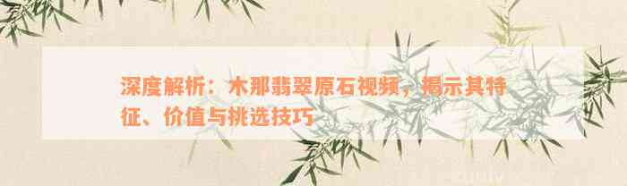 深度解析：木那翡翠原石视频，揭示其特征、价值与挑选技巧