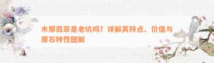 木那翡翠是老坑吗？详解其特点、价值与原石特性图解