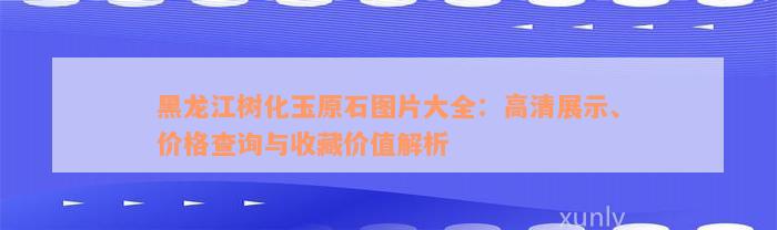 黑龙江树化玉原石图片大全：高清展示、价格查询与收藏价值解析