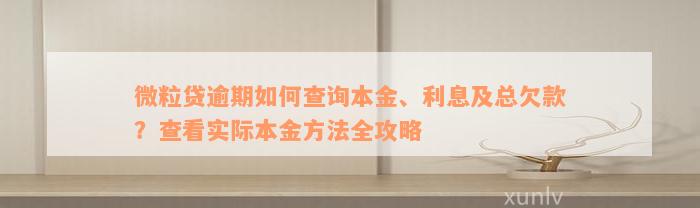 微粒贷逾期如何查询本金、利息及总欠款？查看实际本金方法全攻略