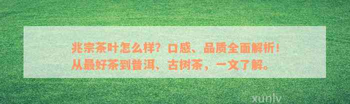 兆宗茶叶怎么样？口感、品质全面解析！从最好茶到普洱、古树茶，一文了解。