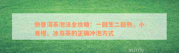 熟普洱茶泡法全攻略：一回生二回熟，小青柑、冰岛茶的正确冲泡方式