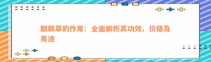 麒麟草的作用：全面解析其功效、价格及用途