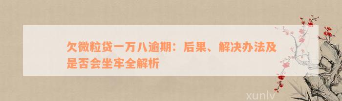 欠微粒贷一万八逾期：后果、解决办法及是否会坐牢全解析