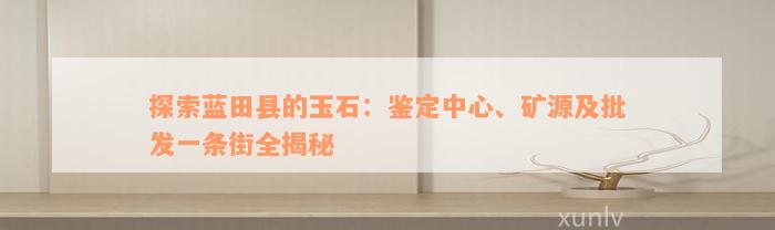 探索蓝田县的玉石：鉴定中心、矿源及批发一条街全揭秘