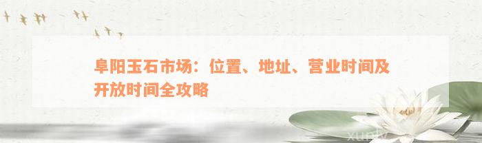 阜阳玉石市场：位置、地址、营业时间及开放时间全攻略