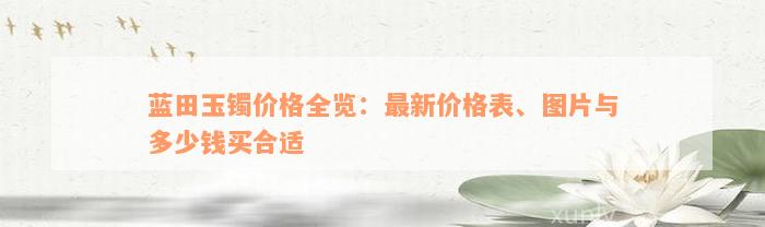 蓝田玉镯价格全览：最新价格表、图片与多少钱买合适