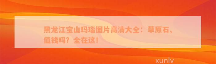 黑龙江宝山玛瑙图片高清大全：草原石、值钱吗？全在这！