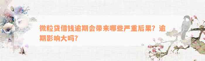 微粒贷借钱逾期会带来哪些严重后果？逾期影响大吗？