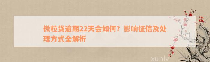 微粒贷逾期22天会如何？影响征信及处理方式全解析