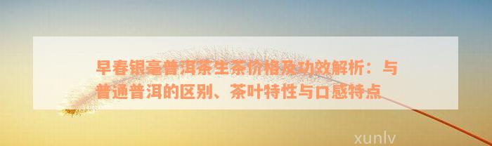 早春银毫普洱茶生茶价格及功效解析：与普通普洱的区别、茶叶特性与口感特点