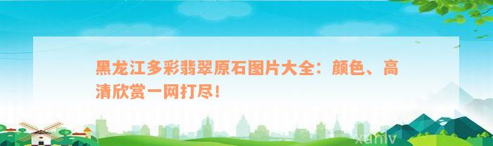 黑龙江多彩翡翠原石图片大全：颜色、高清欣赏一网打尽！