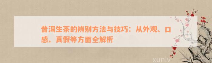 普洱生茶的辨别方法与技巧：从外观、口感、真假等方面全解析