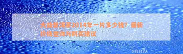 大益普洱茶2014年一片多少钱？最新价格查询与购买建议