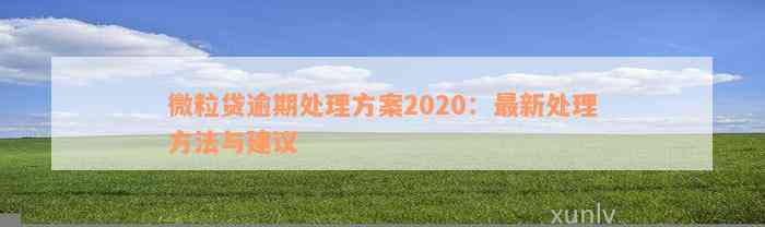 微粒贷逾期处理方案2020：最新处理方法与建议