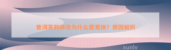 普洱茶的笋壳为什么要更换？原因解析