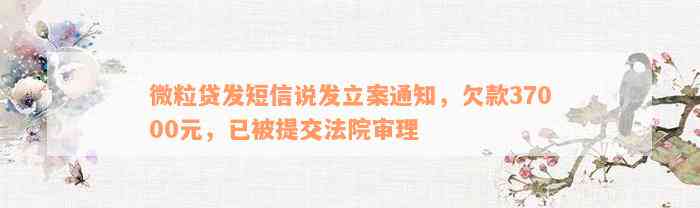 微粒贷发短信说发立案通知，欠款37000元，已被提交法院审理