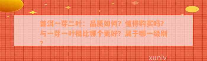 普洱一芽二叶：品质如何？值得购买吗？与一芽一叶相比哪个更好？属于哪一级别？