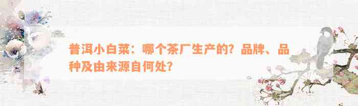 普洱小白菜：哪个茶厂生产的？品牌、品种及由来源自何处？