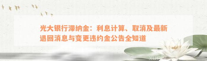 光大银行滞纳金：利息计算、取消及最新退回消息与变更违约金公告全知道