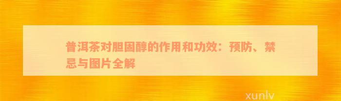 普洱茶对胆固醇的作用和功效：预防、禁忌与图片全解