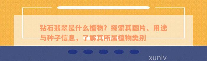 钻石翡翠是什么植物？探索其图片、用途与种子信息，了解其所属植物类别