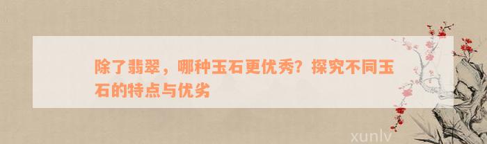 除了翡翠，哪种玉石更优秀？探究不同玉石的特点与优劣