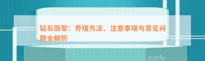 钻石翡翠：养殖方法、注意事项与常见问题全解析