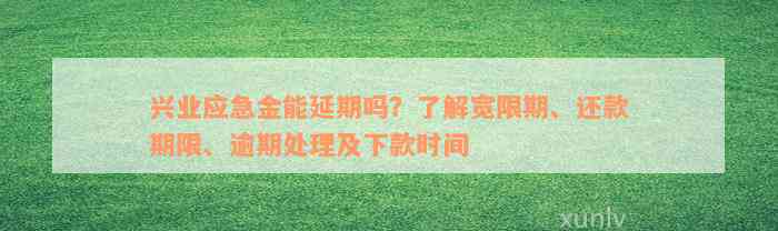 兴业应急金能延期吗？了解宽限期、还款期限、逾期处理及下款时间